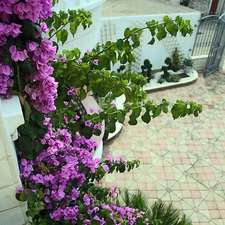 Apartment Visnja *