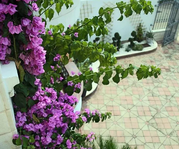 Apartamento Visnja *